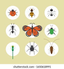 Set of insects flat style design icons