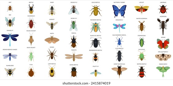 Set of insects flat style design icons