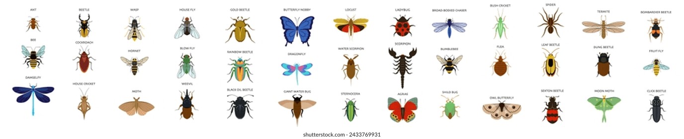 Set of insects flat style design icons