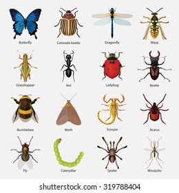 Set insects flat style design icons