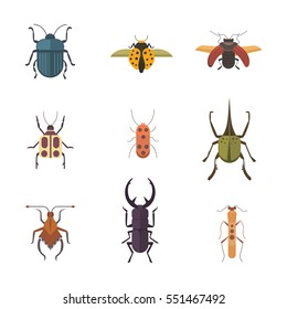 Set of insects flat style vector design icons. Collection nature beetle and zoology cartoon illustration