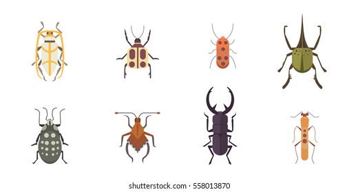 Set of insects flat style vector design icons. Collection nature beetle and zoology cartoon illustration