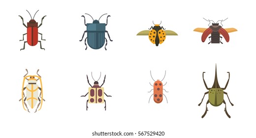 Set Insects Flat Style Vector Design Stock Vector (Royalty Free ...