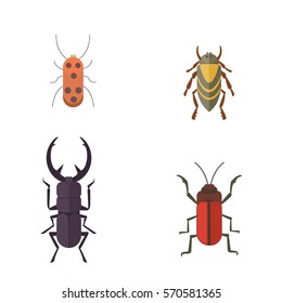 Set of insects flat style vector design icons. Collection nature beetle and zoology cartoon illustration. Bug icon wildlife concept