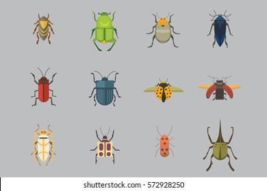 Set of insects flat style vector design icons. Collection nature beetle and zoology cartoon illustration. Bug icon wildlife concept