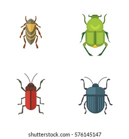Set of insects flat style vector design icons. Collection nature beetle and zoology cartoon illustration. Bug icon wildlife concept