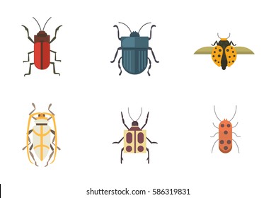 Set of insects flat style vector design icons. Collection nature beetle and zoology cartoon illustration. Bug icon wildlife concept
