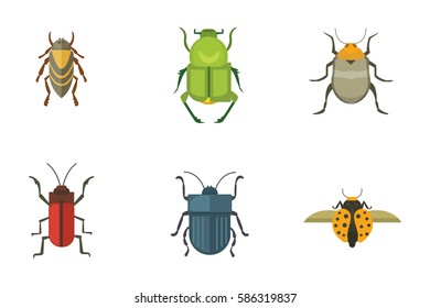 Set of insects flat style vector design icons. Collection nature beetle and zoology cartoon illustration. Bug icon wildlife concept
