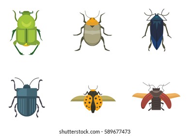 Set of insects flat style vector design icons. Collection nature beetle and zoology cartoon illustration. Bug icon wildlife concept