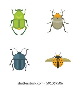 Set of insects flat style vector design icons. Collection nature beetle and zoology cartoon illustration. Bug icon wildlife concept