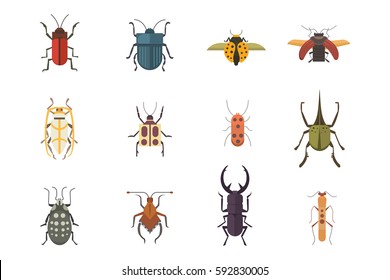 Set Of Insects Flat Style Vector Design Icons. Collection Nature Beetle And Zoology Cartoon Illustration. Bug Icon Wildlife Concept