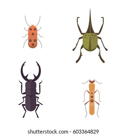 Set of insects flat style vector design icons. Collection nature beetle and zoology cartoon illustration. Bug icon wildlife concept