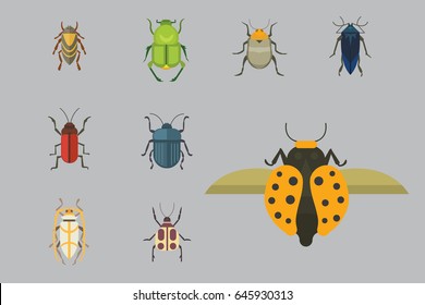 Set of insects flat style vector design icons. Collection nature beetle and zoology cartoon illustration.