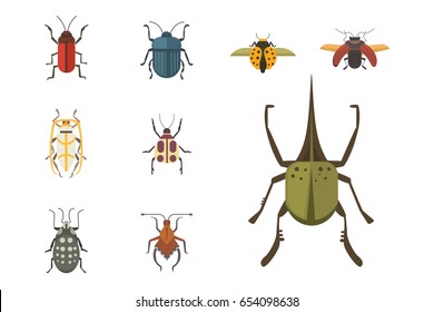 Set of insects flat style vector design icons. Collection nature beetle and zoology cartoon illustration.