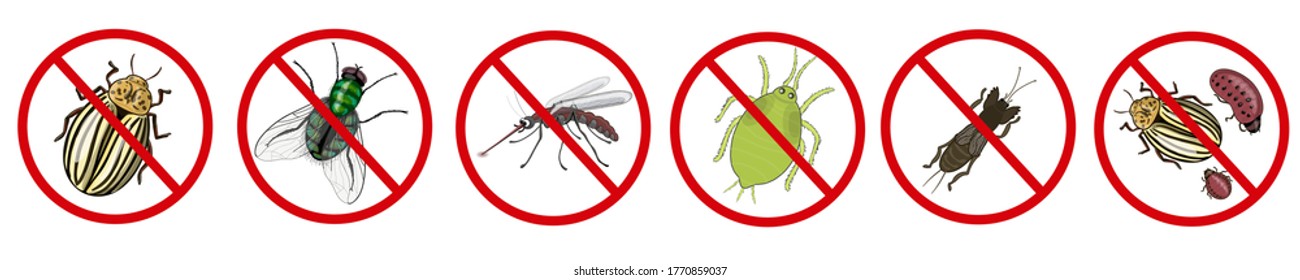 Set. The Insects - Fly, Mosquito, Aphid, Mole Cricket And Colorado Beetles Is Painted In A Crossed Red Sign. Drawing Isolated On A White Background. Stock Vector Illustration.