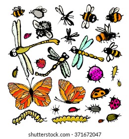 Set insects handmade. Vector