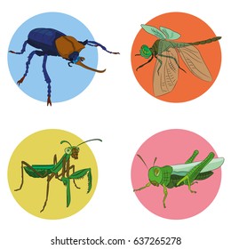 Set of insects icons. Abstract graphic design logo, badge, label, sticker. Vector stock illustration.
