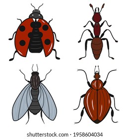 Set of insects icons: ladybug, ant, fly, potato beetle. Colorful sketch. Idea for decors, logo, patterns, papers, covers, gifts, summer and autumn garden, insect natural themes. Isolated vector art.