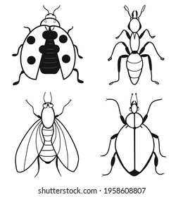 Set of insects icons: ladybug, ant, fly, potato beetle. Contour sketch. Idea for decors, logo, patterns, papers, covers, gifts, summer and autumn garden, insect natural themes. Isolated vector art.