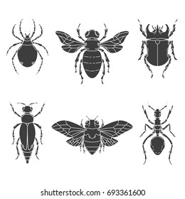 Set of insects illustrations isolated on white background. Design elements for logo, label, emblem, sign. Vector illustration