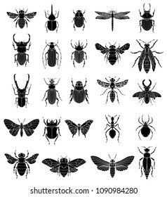 Set of insects illustrations on white background. Design elements for logo, label, emblem, sign, badge. Vector image