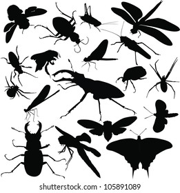 set of insects isolated on white background