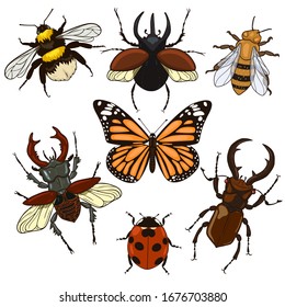 Set of insects isolated on a white background. Vector graphics.	