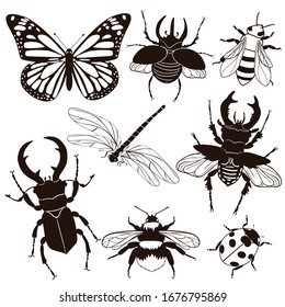 Set of insects isolated on a white background. Vector graphics.