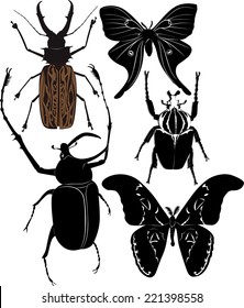 set of insects isolated on white background