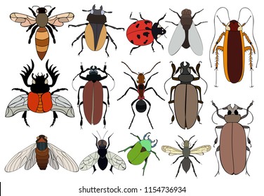 set insects, ladybug, beetle, ant, bee, vector