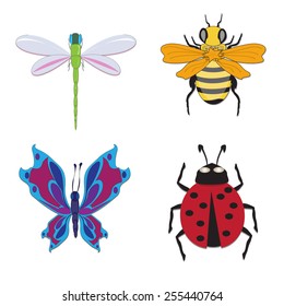 set of insects, ladybug, butterfly, bee and dragonfly, design elements