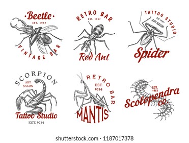 Set of insects logos. Vintage Pets labels for bar or tattoo studio. Bugs Beetles Scorpion Spider Ant Mantis Bee Scolopendra. emblems badges, t-shirt typography. Engraved Vector illustration.