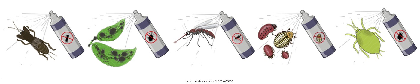 A Set Of Insects - A Mole Cricket, Aphid, Mosquito, Colorado Beetles, Sprayed With Aerosol On Them. Drawing Isolated On A White Background. Stock Vector Illustration.