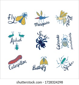 
Set of insects with names