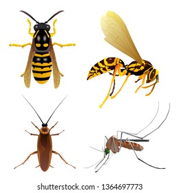 Set of insects on a white background. Mosquito, wasp, cockroach. Vector illustration of animals