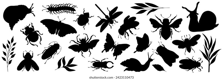 Set of insects on a white background