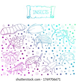 Set with insects. Printing on paper. Vector isolated illustration with insect. Design for biology books. Insects. Doodle style. Butterfly, ant, beetle, ladybug, caterpillar, bee on a white background.