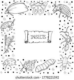 Set with insects. Printing on paper. Vector isolated illustration with insect. Design for biology books. Butterfly, ant, beetle, ladybug, caterpillar, bee on a white background. 