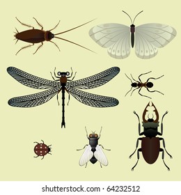 Set of insects. Vector.