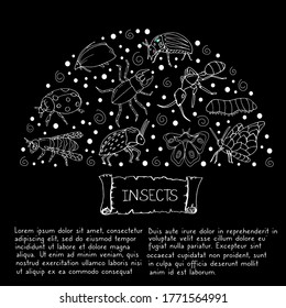 Set with insects. Vector isolated illustration with insect. Design for biology books. Insects. Printing on paper. Butterfly, ant, beetle, ladybug, caterpillar, bee on a black background. 