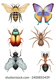set insects wildlife animals vector illustration isolated on white background