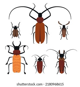 Set of Insects. Wildlife beetle. Cockroaches. Vector illustration. Eps10. 