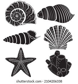 The set is an insulated seashell. Vector illustration, black stencil icon