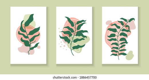 Set of interesting botanical banners with the image of plants and flowers. Element for social networks and presentations, flat vector illustration.