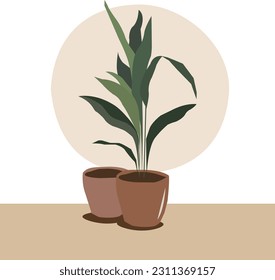 Set of a interior plants, home decoration indoor plats in vas. modern minimal nature green  leaves. happy indoor gardening, nature, fresh, abstract art