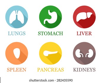 Set of internal human organs - lungs, stomach, liver, spleen, pancreas, kidneys - silhouette style. Vector art image illustration, flat shadow design in colorful circles, isolated on white background