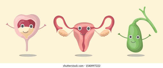 The set internal organs bladder, urinary tract, gall bladder of the human body, smolders, waves its hands. Vector illustration in eps10, graphic design. Colorful icon