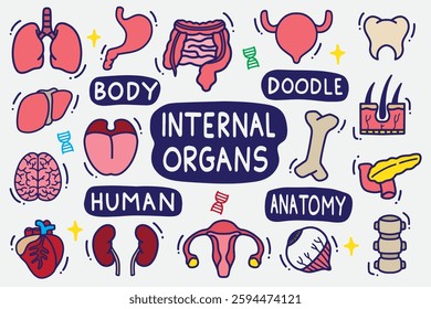 set of internal organs doodle with color good for background, wallpaper, element design, icon, sticker etc