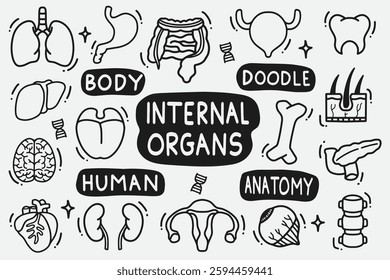 set of internal organs doodle good for background, wallpaper, element design, icon, etc