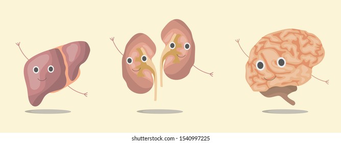 The set internal organs liver, kidneys, brain of the human body, smolders, waves its hands. Vector illustration in eps10, graphic design. Colorful icon